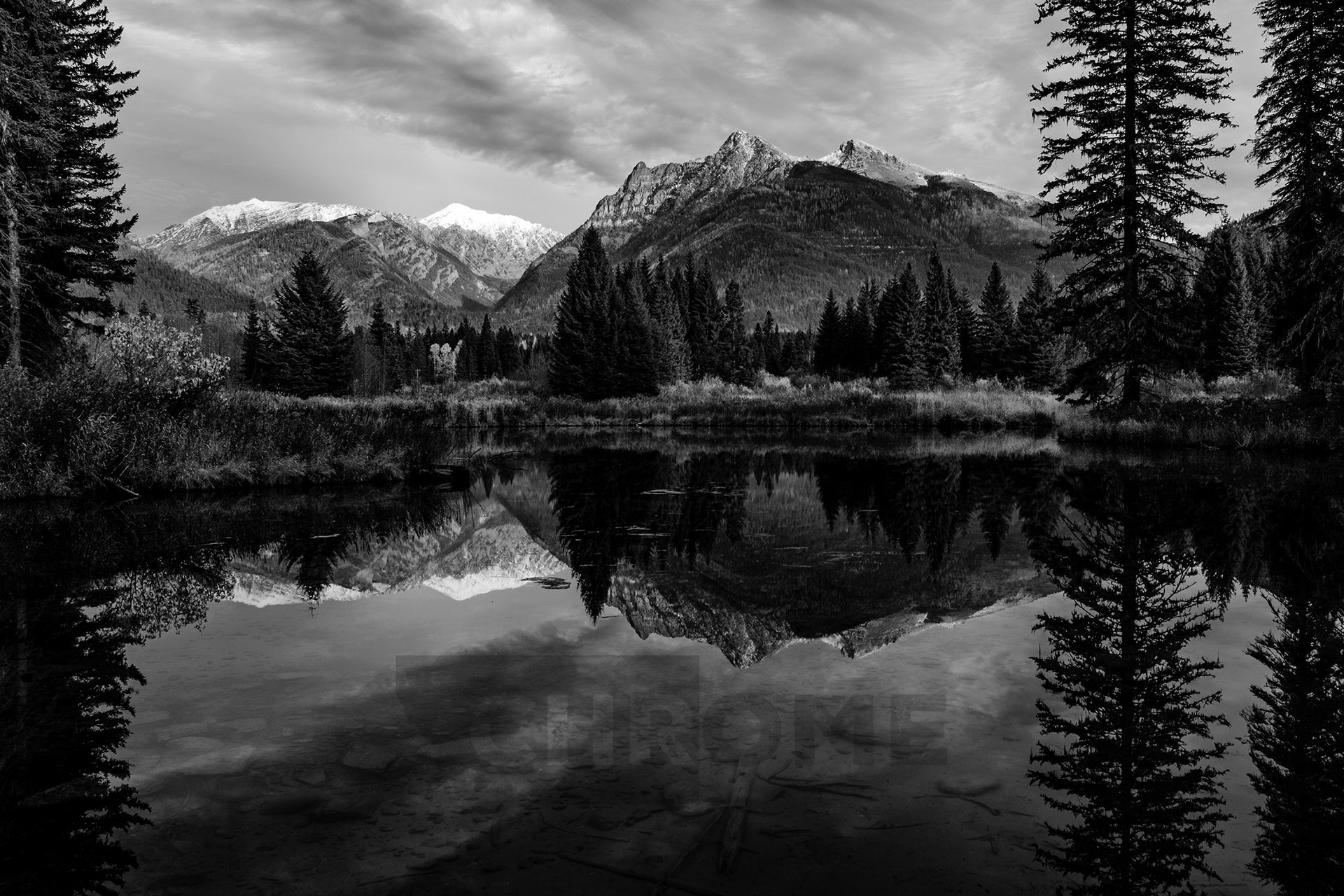 The Pond