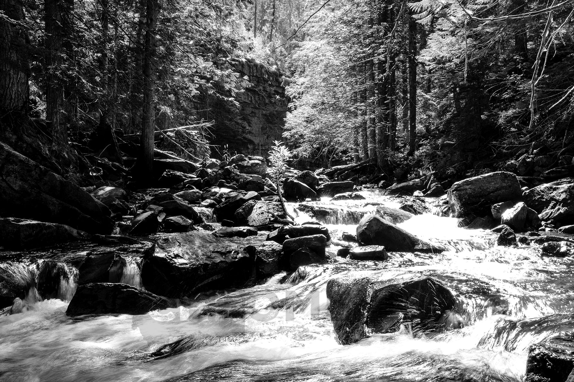 Cascading Ross Creek