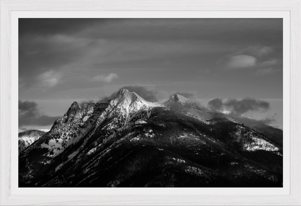 Ibex in Winter