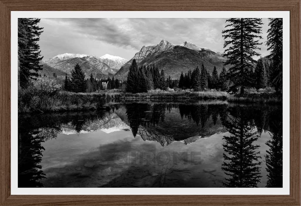 The Pond