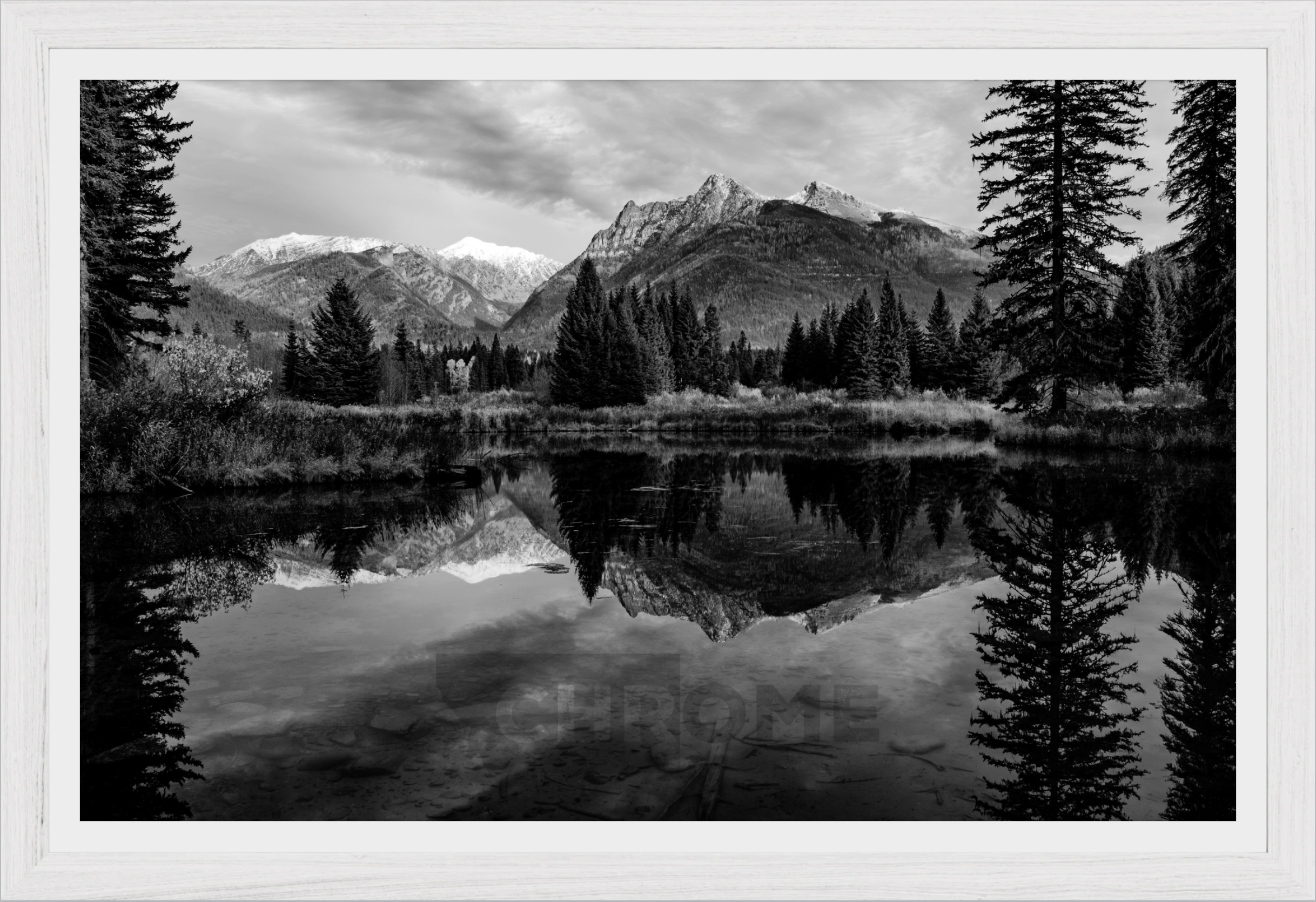 The Pond
