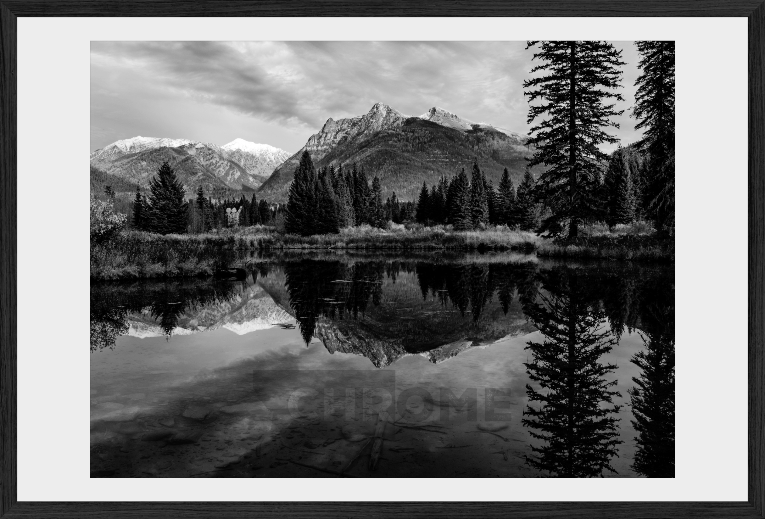 The Pond