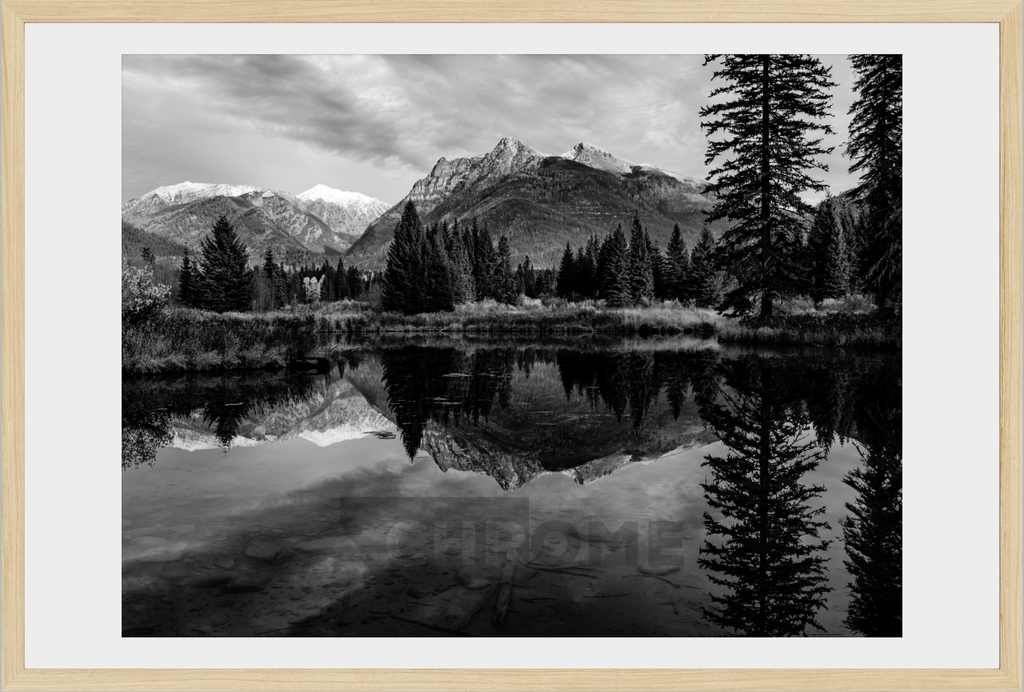 The Pond