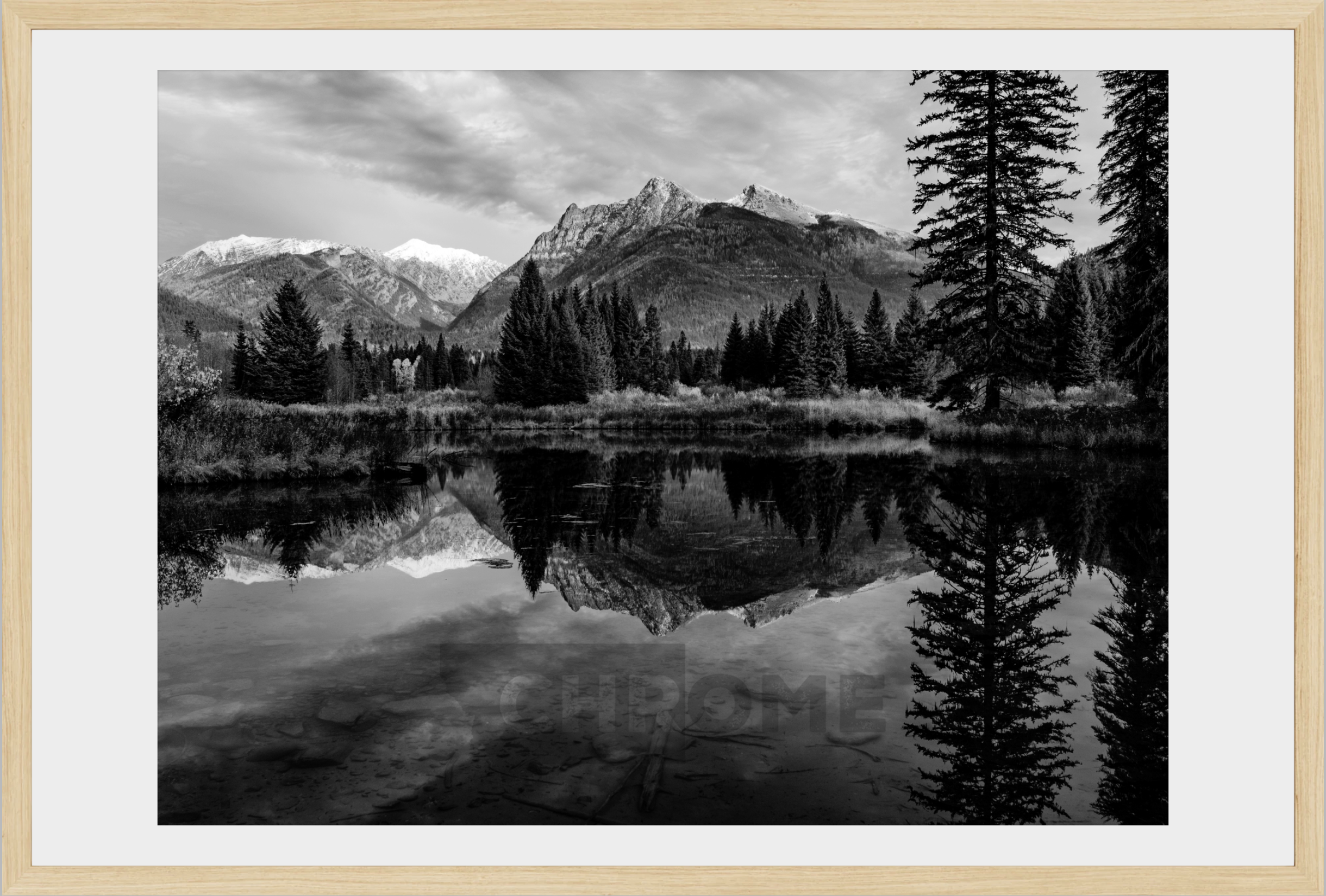 The Pond