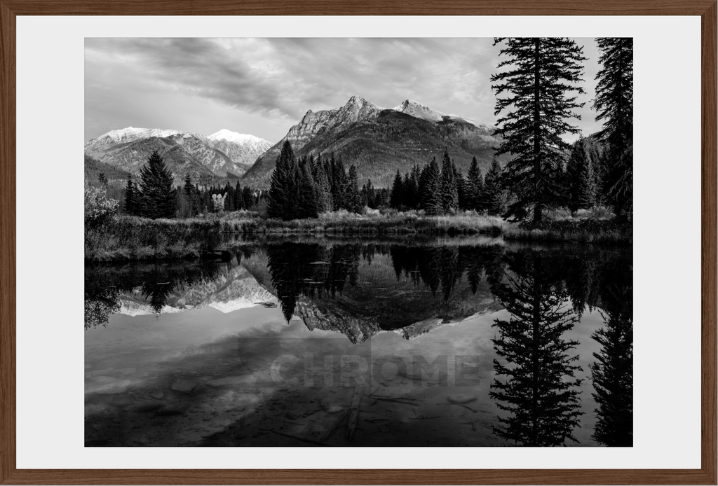 The Pond