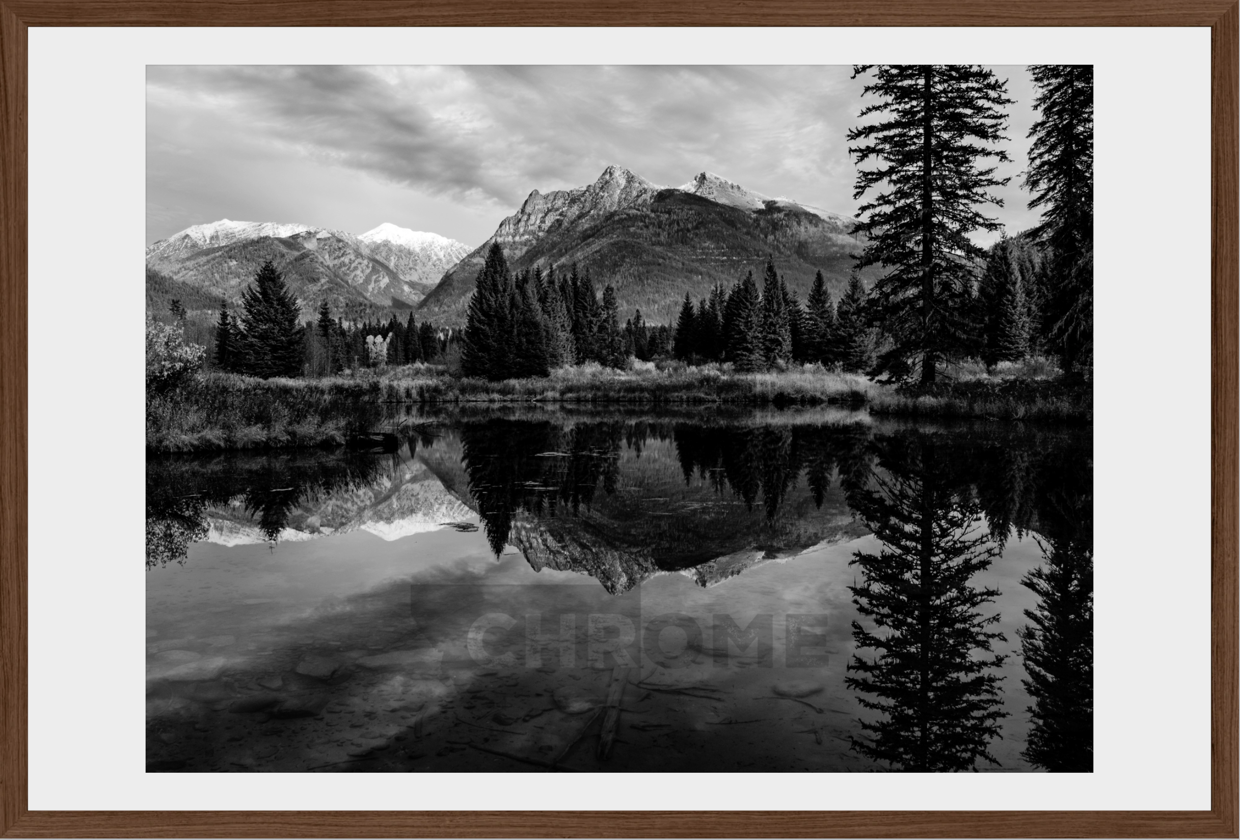 The Pond