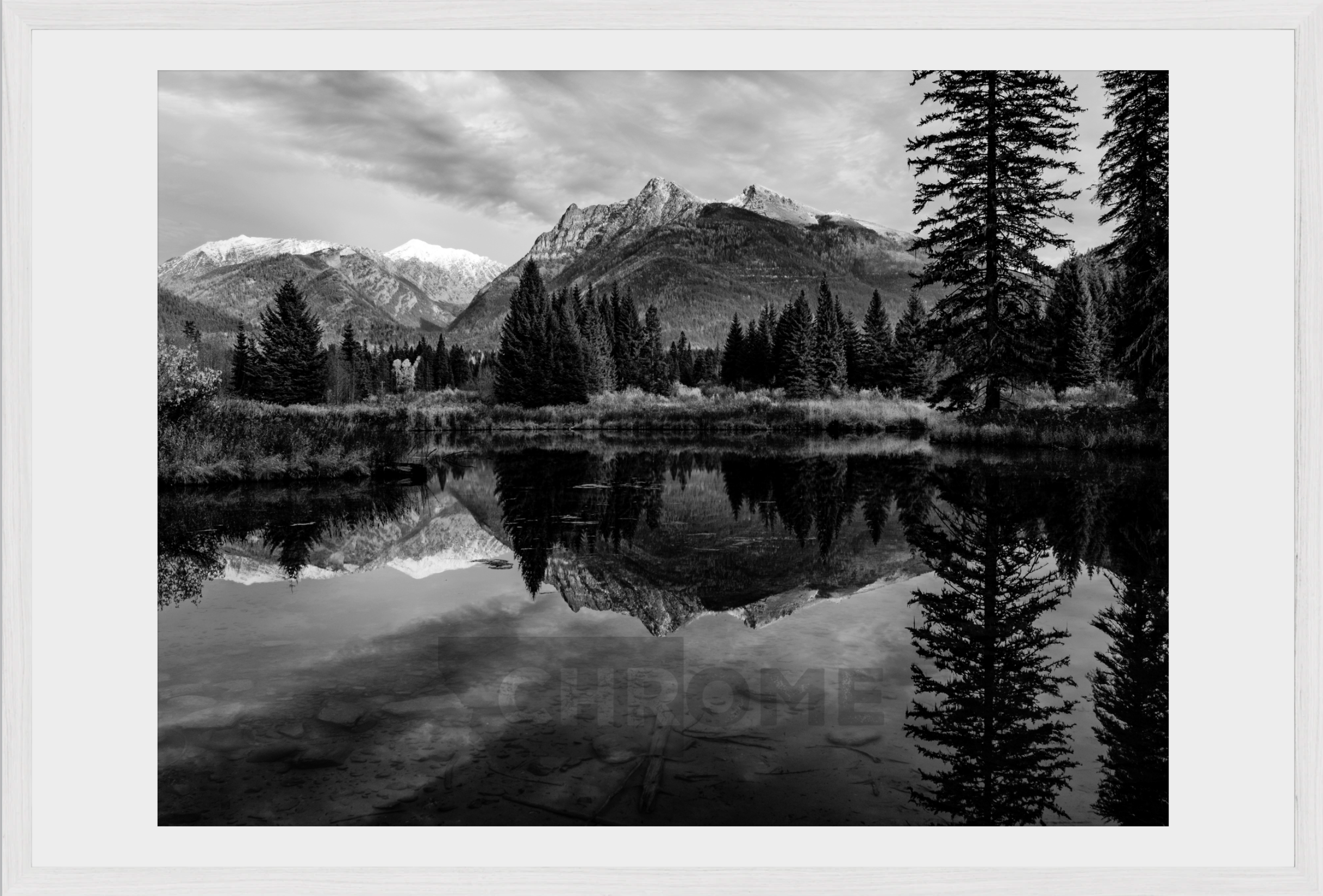 The Pond