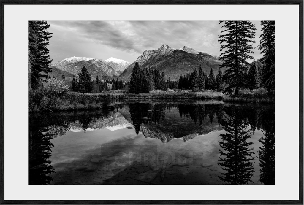 The Pond