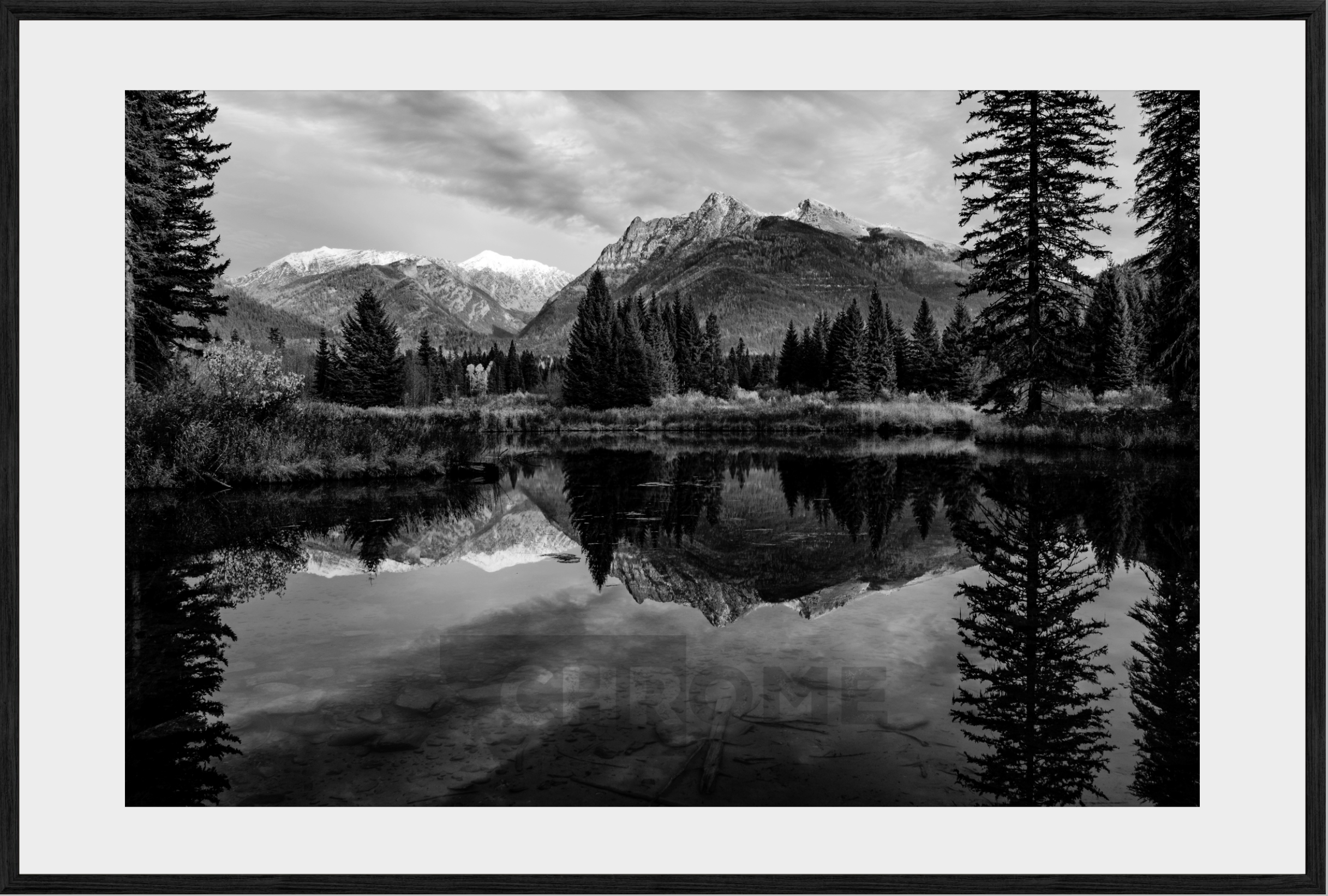The Pond