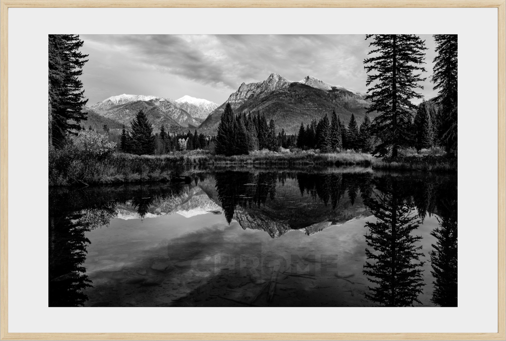 The Pond