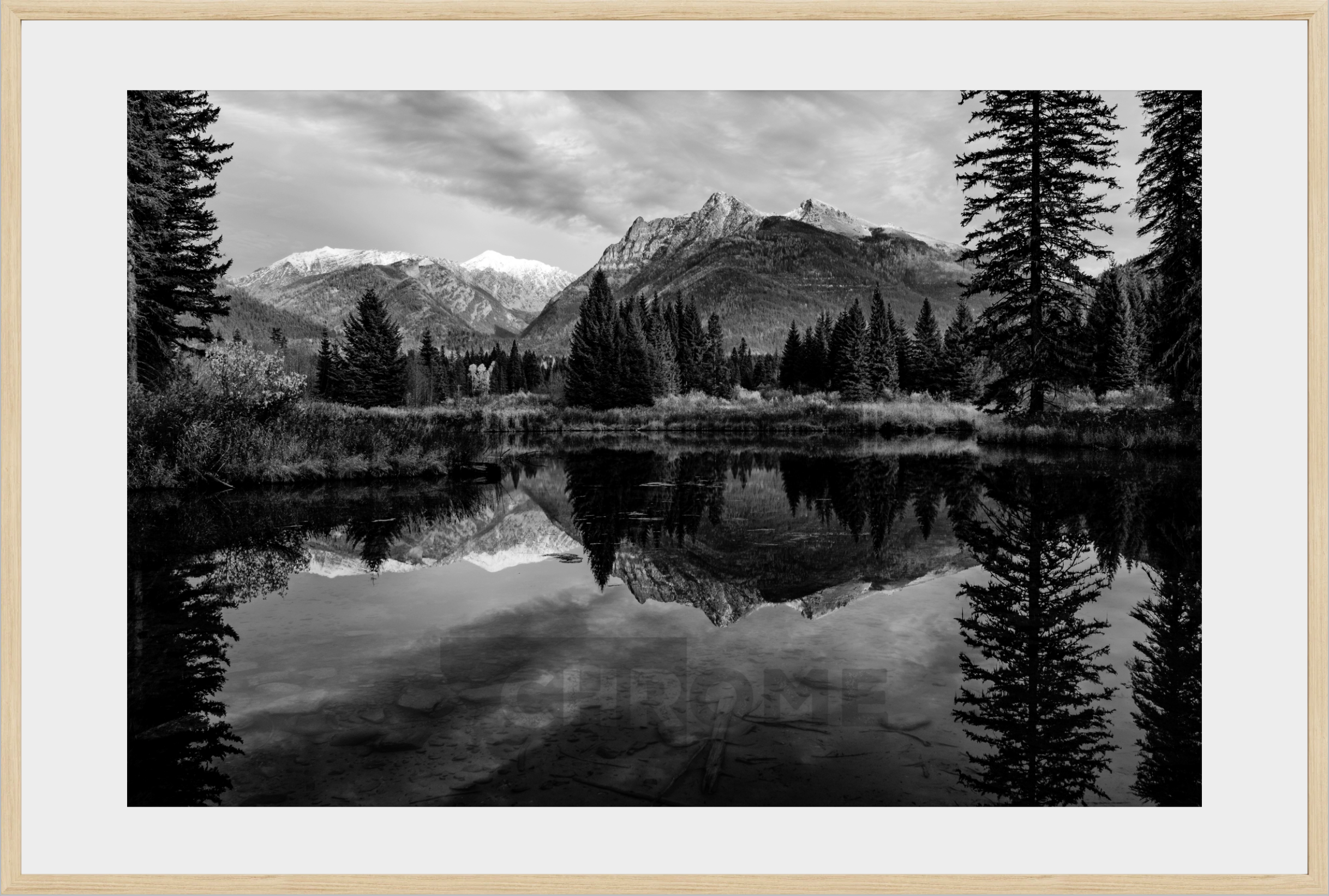 The Pond