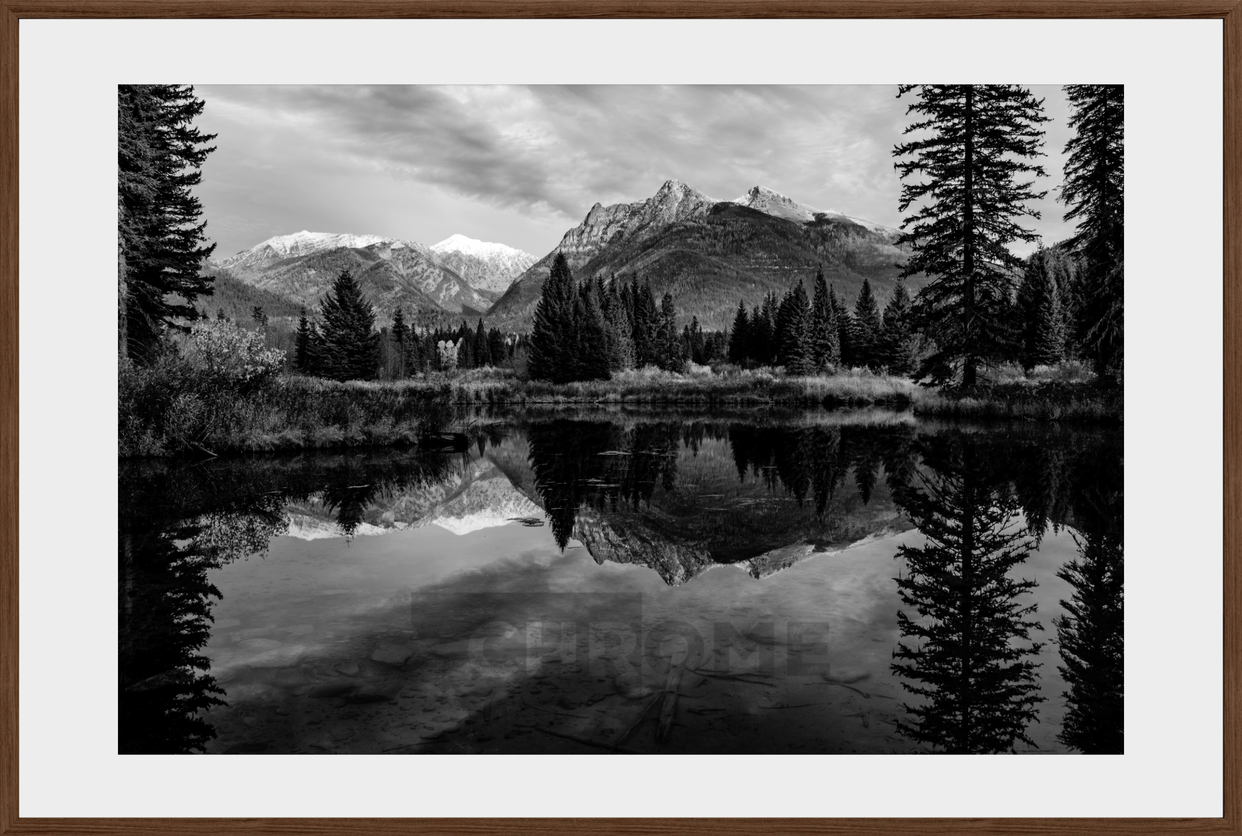 The Pond