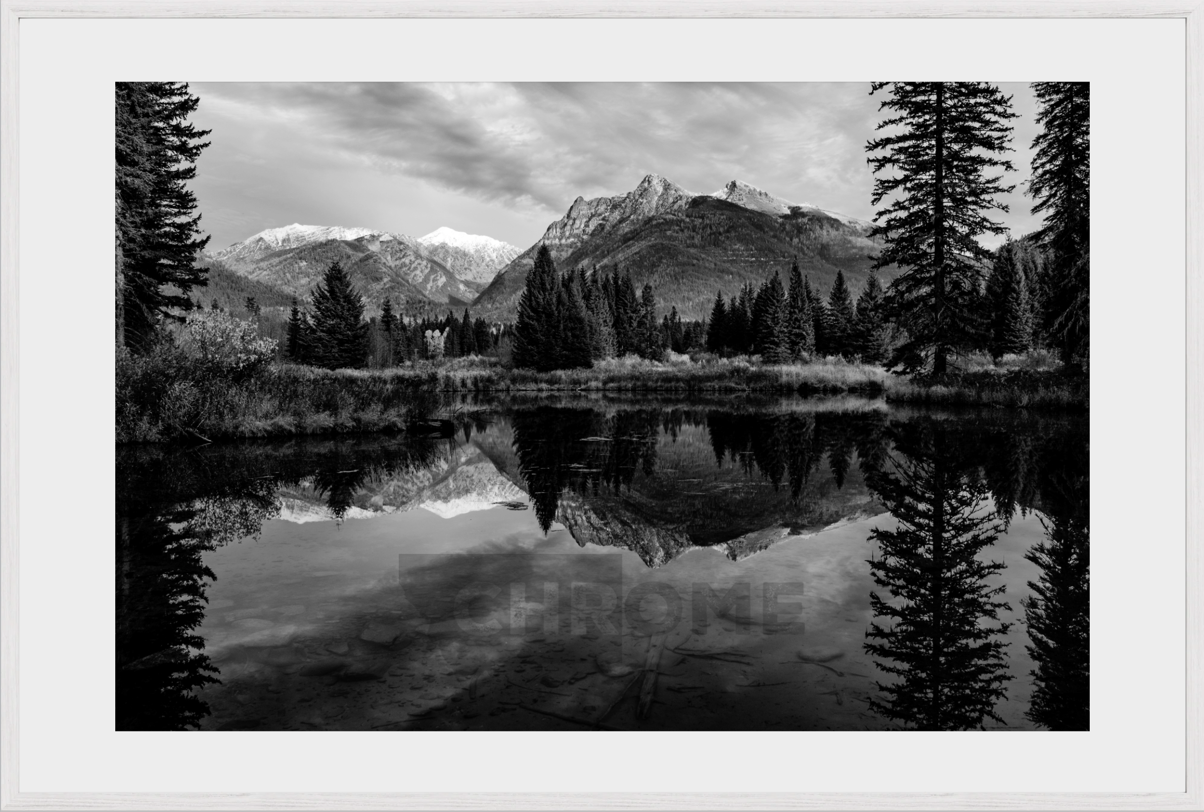 The Pond