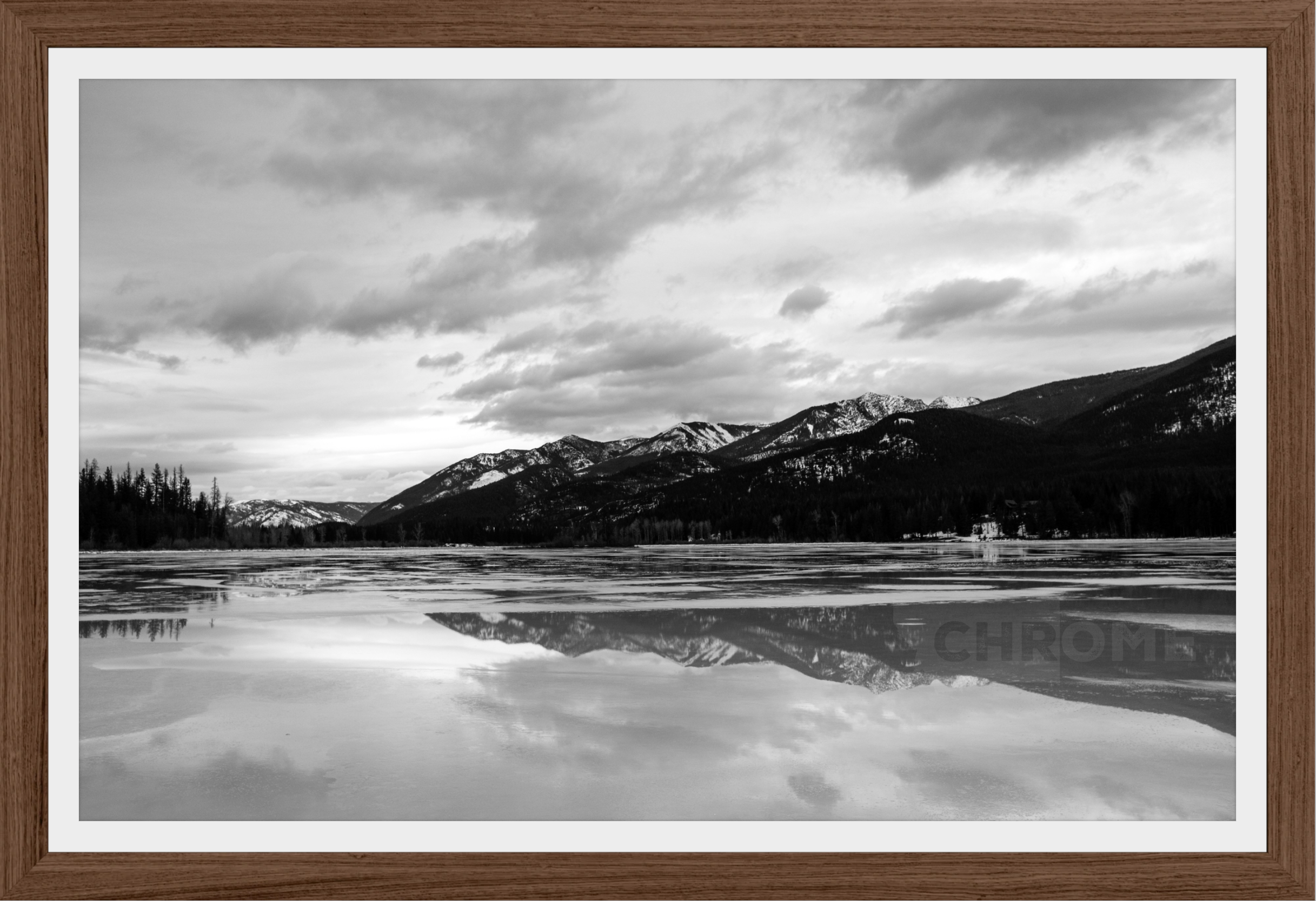 Winter Reflections