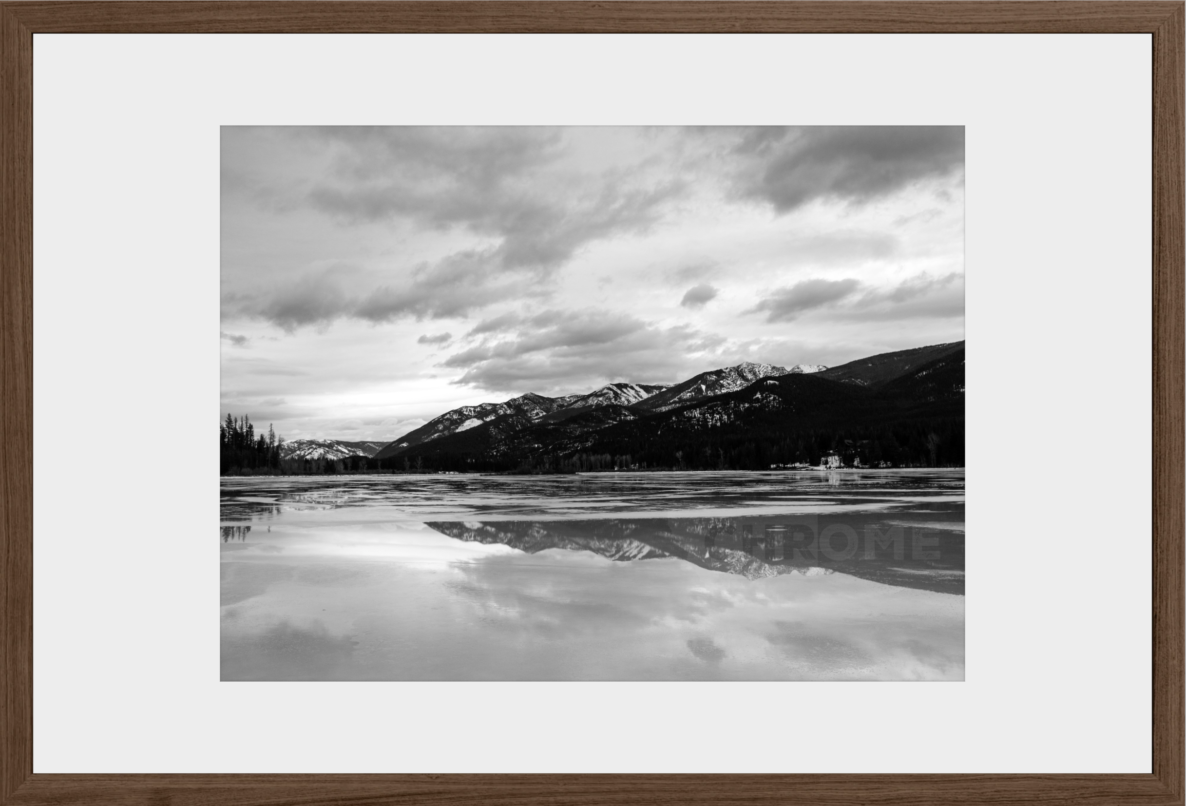 Winter Reflections
