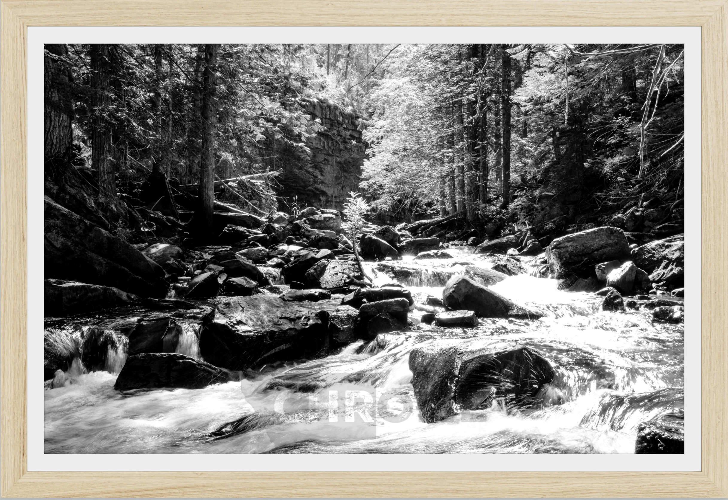 Cascading Ross Creek