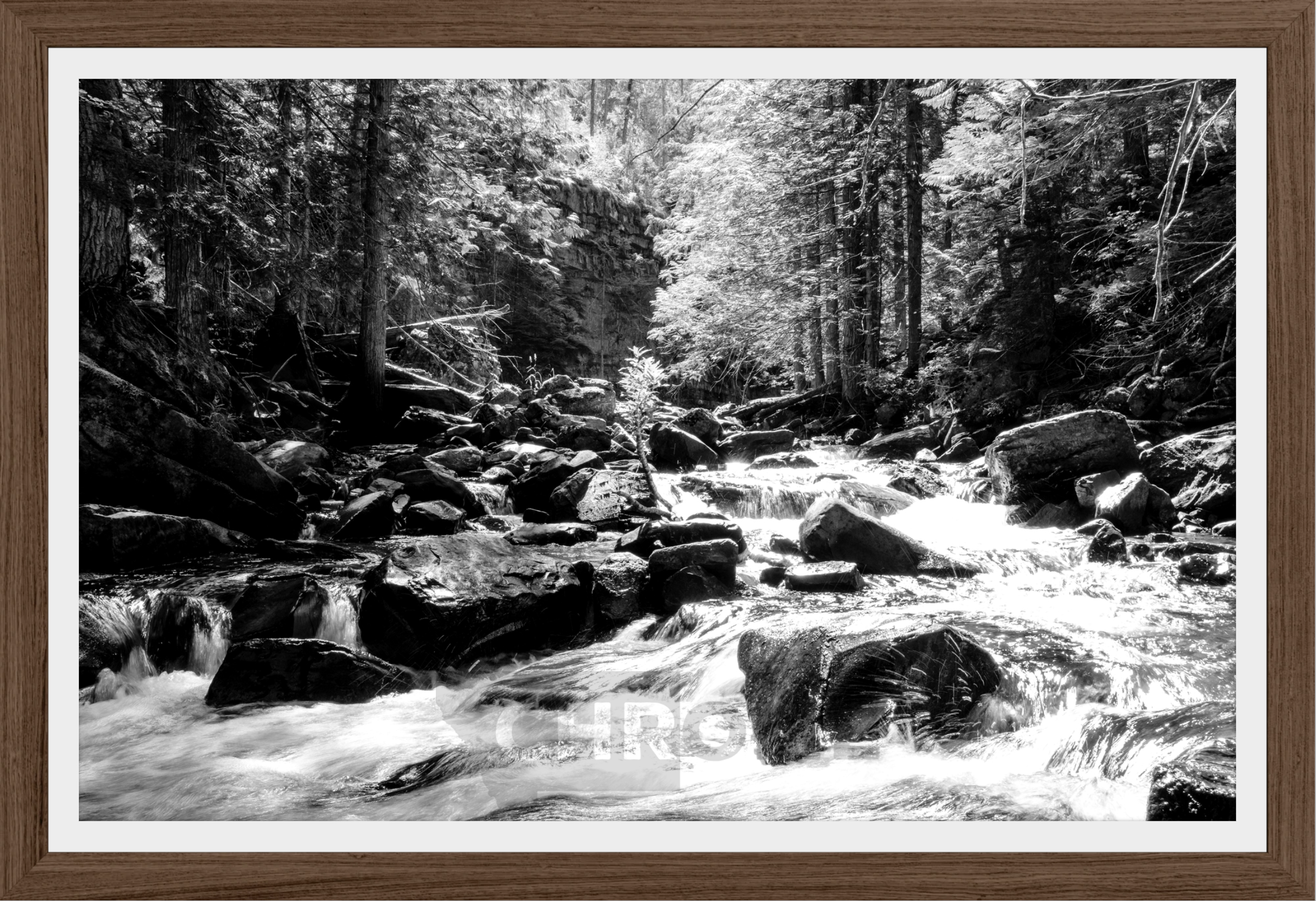 Cascading Ross Creek