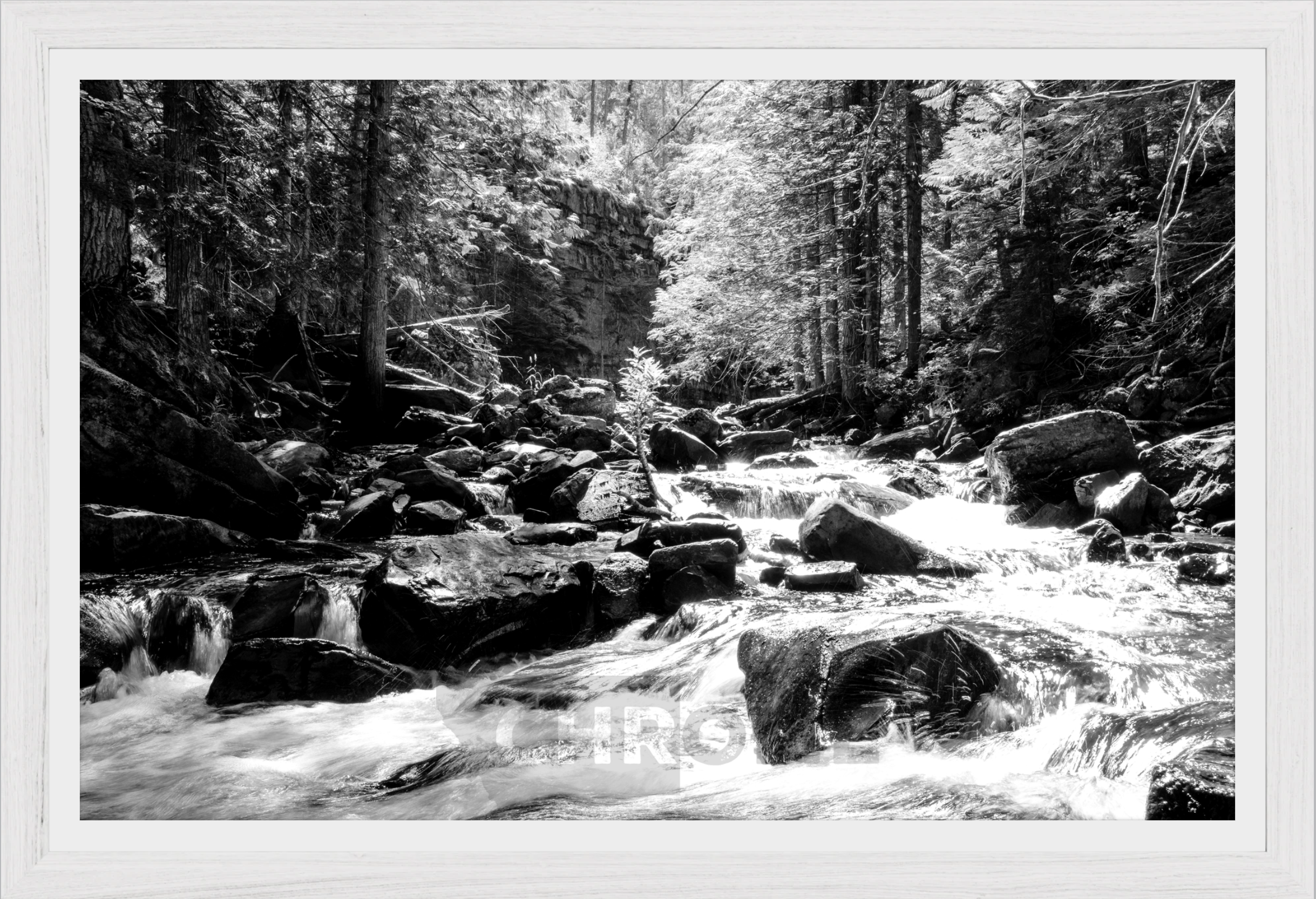 Cascading Ross Creek