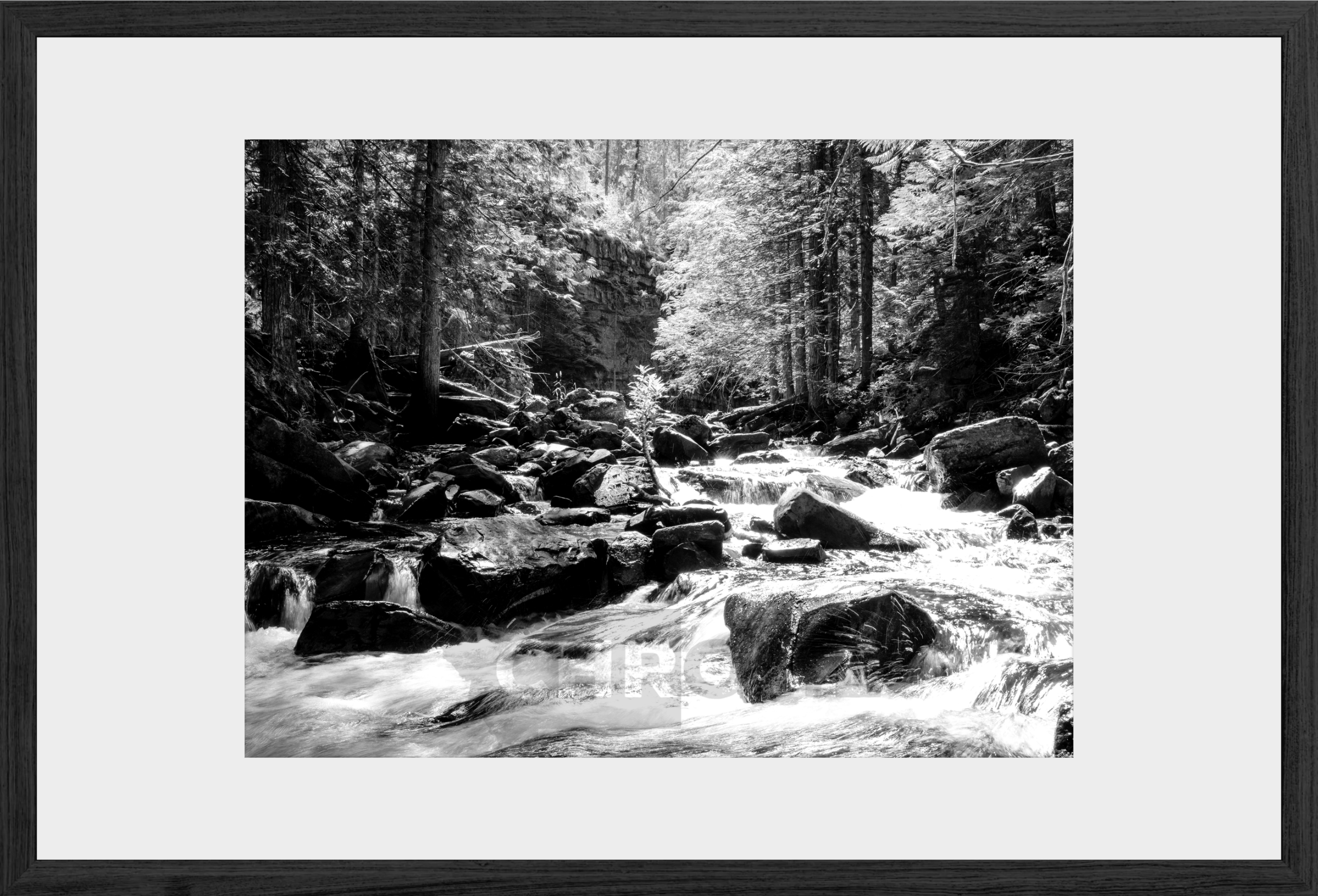Cascading Ross Creek