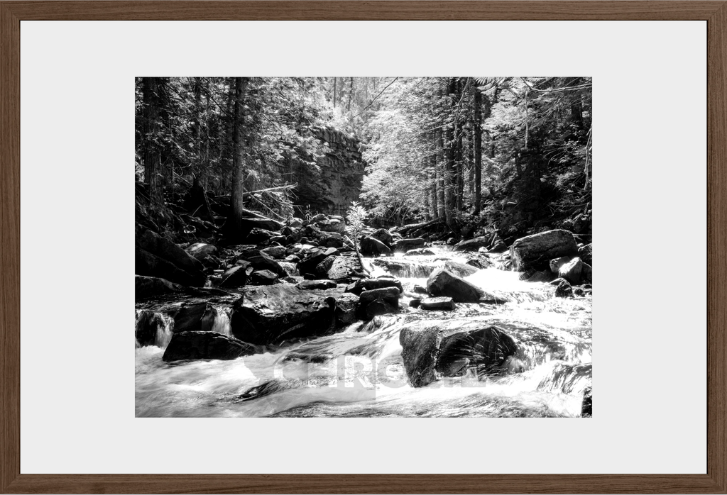Cascading Ross Creek