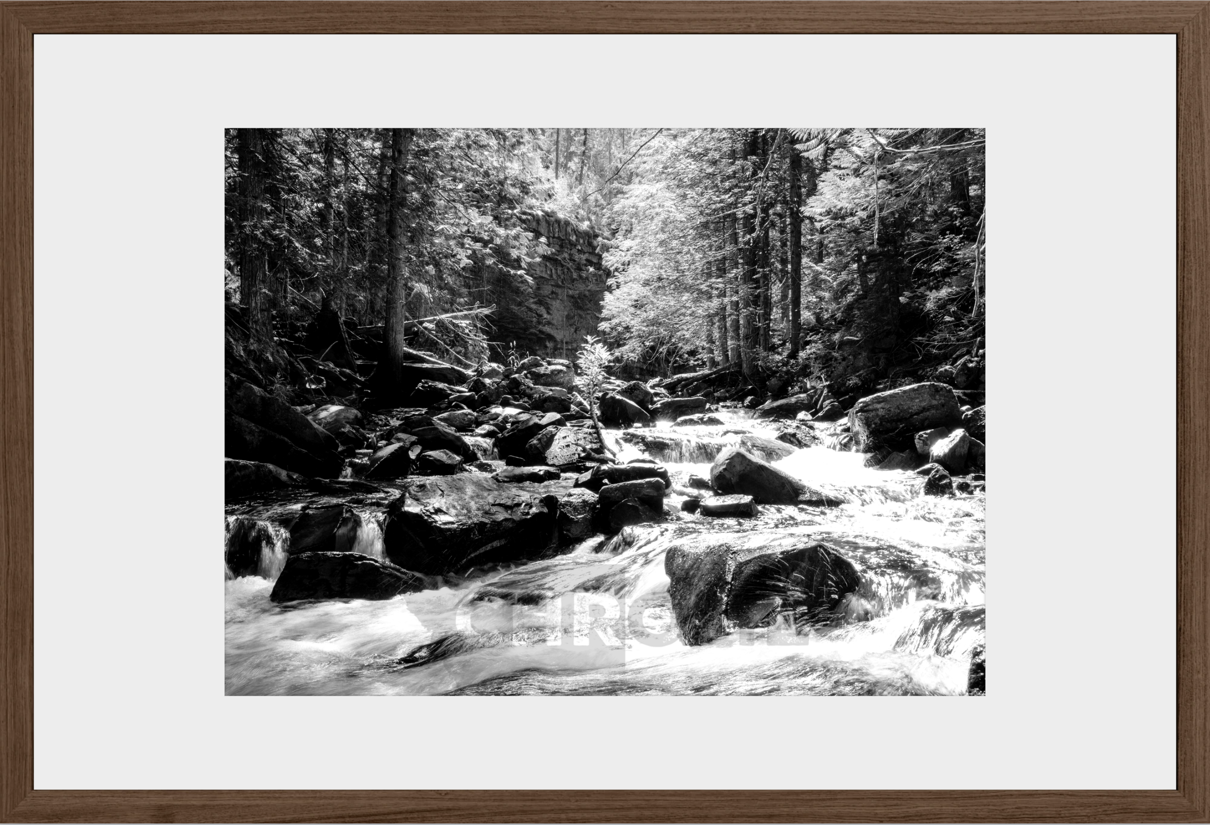 Cascading Ross Creek
