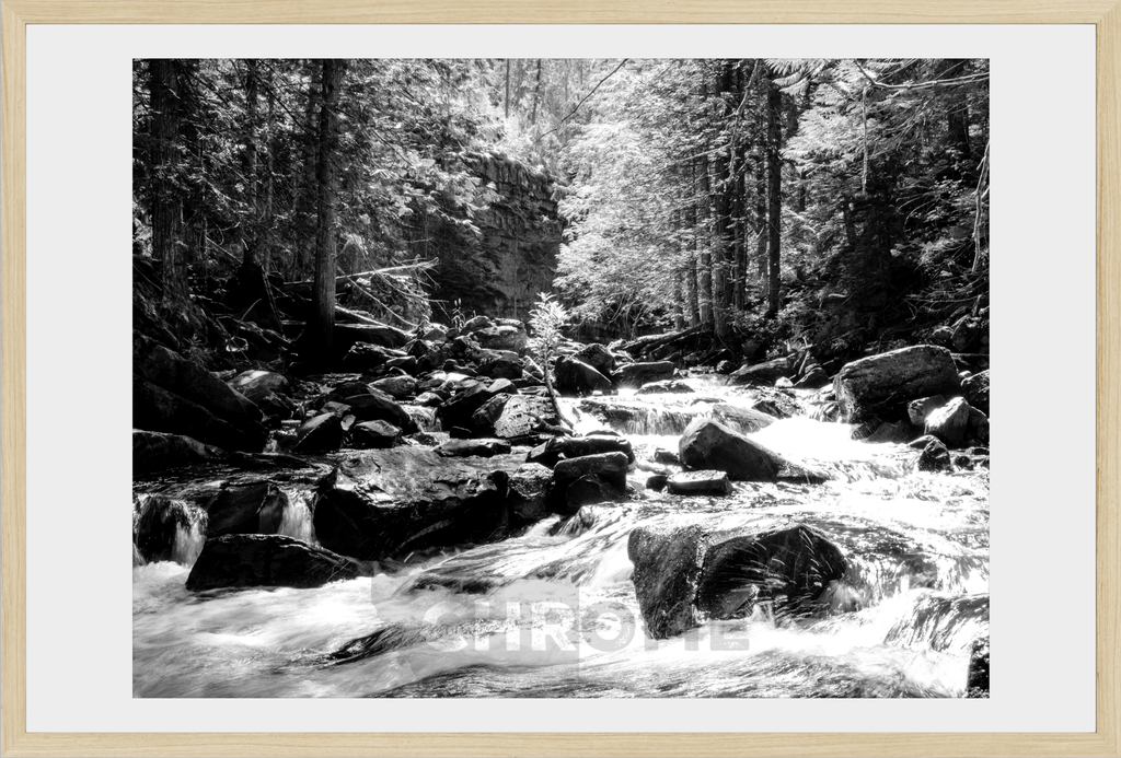 Cascading Ross Creek