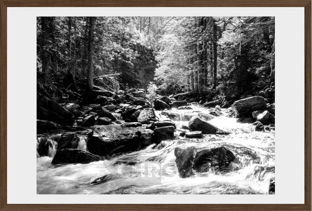 Cascading Ross Creek