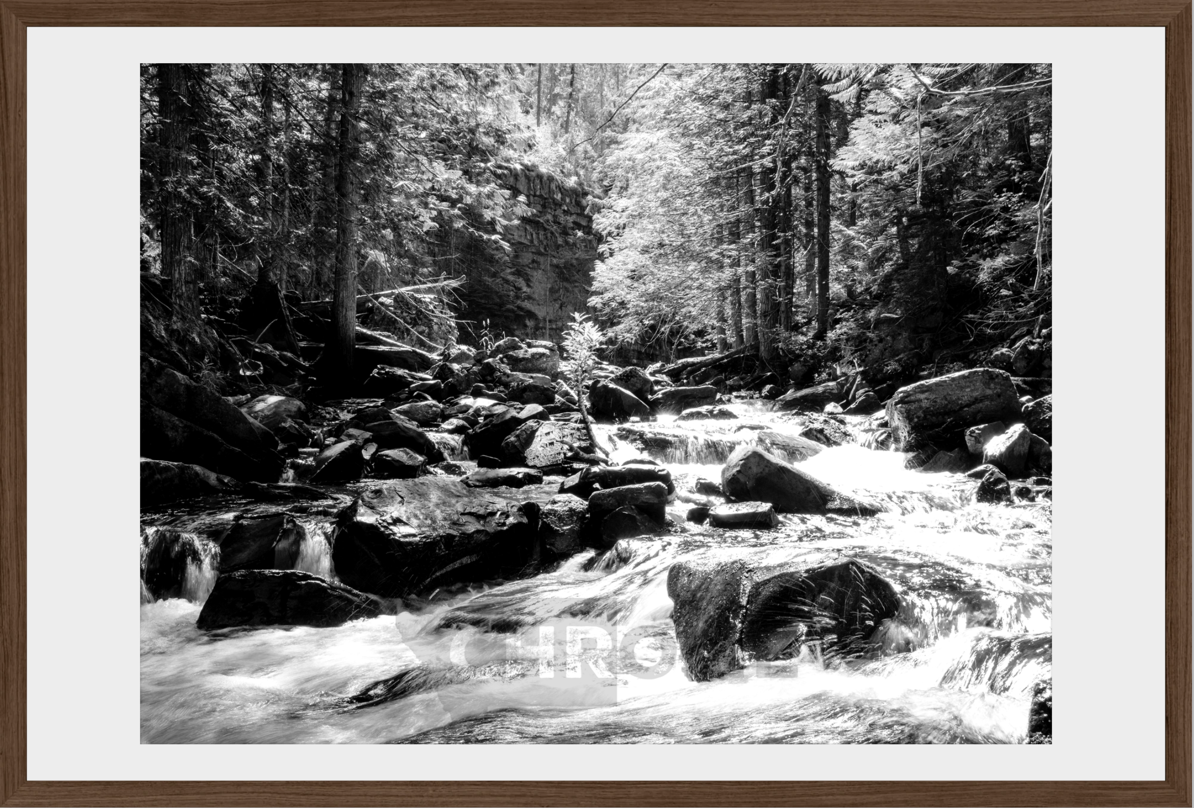 Cascading Ross Creek