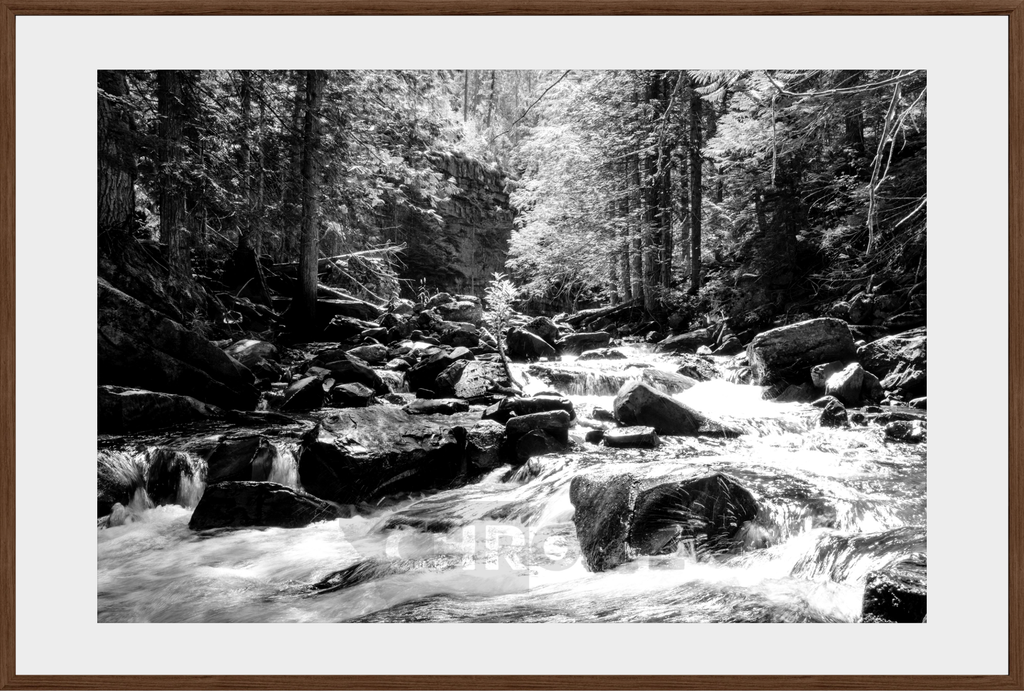 Cascading Ross Creek