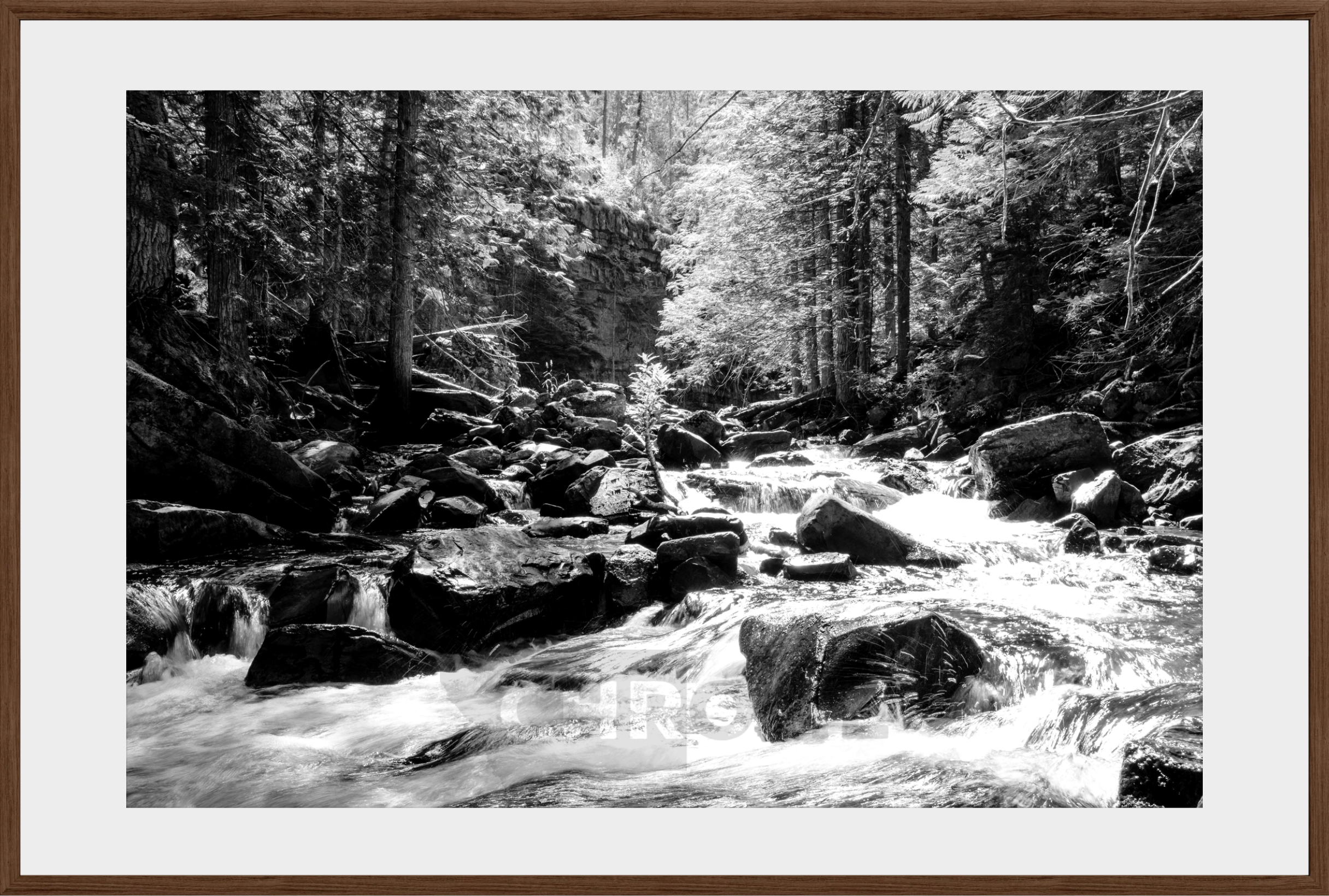 Cascading Ross Creek